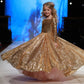 Girls' Little Princess Dress With Gold Sequins And Fluffy Yarn